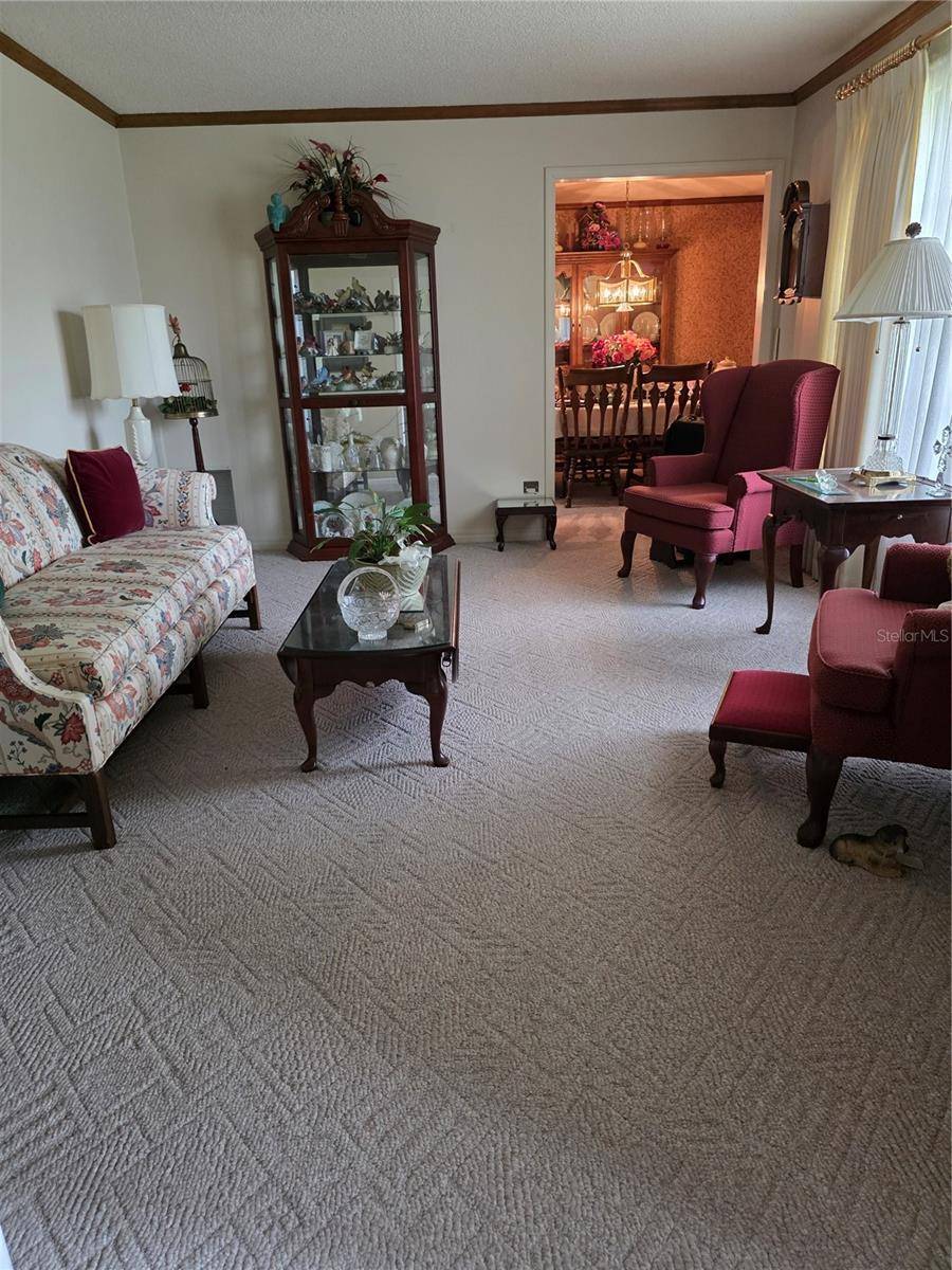 Orange Park, FL 32073,579 ROCKINGHAM RD
