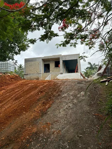 Calle 12 Final SECTOR CALDERON, Bayamon, PR 00956