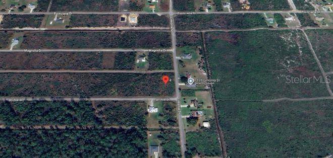 Indian Lake Estates, FL 33855,202 ORCHID DR