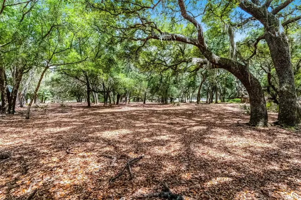 4055 STATE ROAD 11, Deland, FL 32724