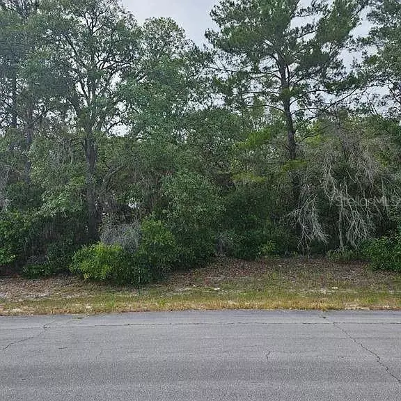 Dunnellon, FL 34432,LOT 13 SW 145TH PLACE RD