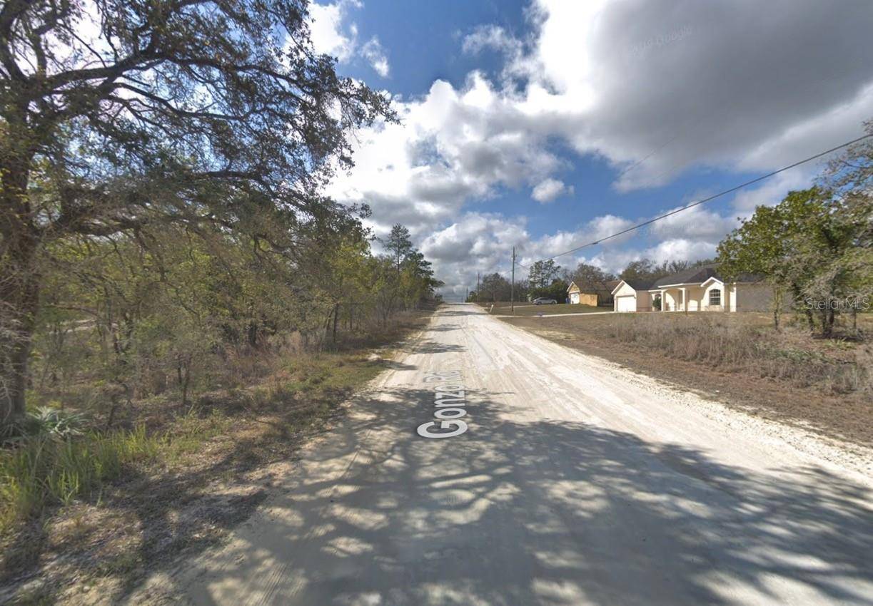 Brooksville, FL 34614,12470 BARNEVELDE RD