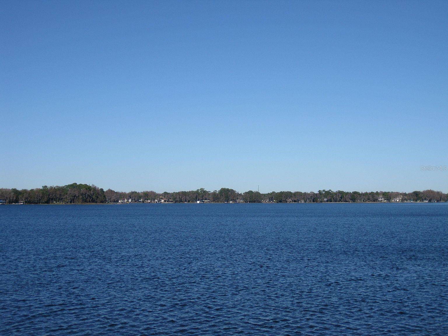 18620 WAYNE RD, Odessa, FL 33556