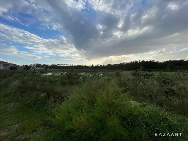 Davenport, FL 33837,1365 SAWGRASS HAMMOCK LN