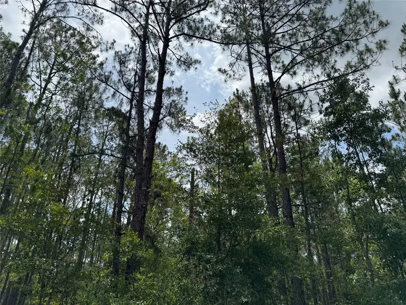 HAVANA RD, Clermont, FL 34714