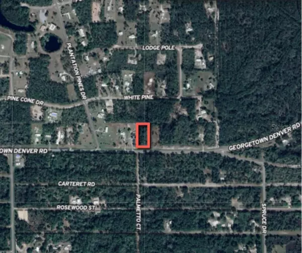 Georgetown, FL 32139,GEORGETOWN DENVER RD