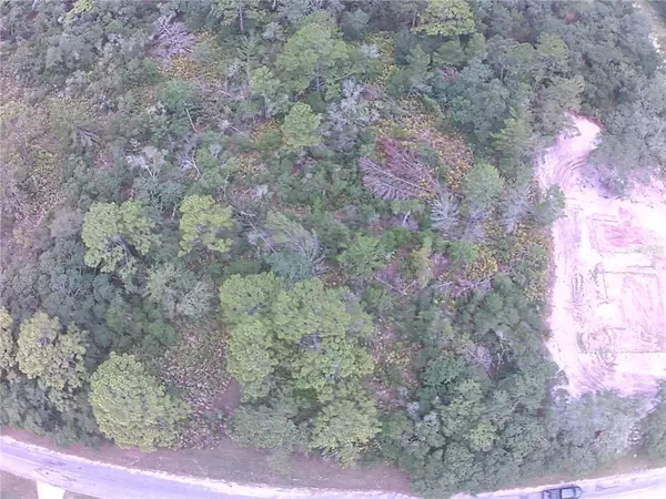 Eustis, FL 32736,E CASHEW CT