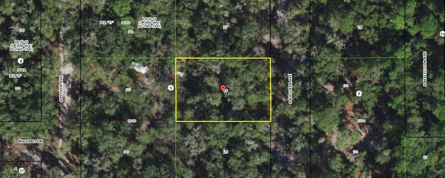 3966 S KILLDEER AVE, Inverness, FL 34450