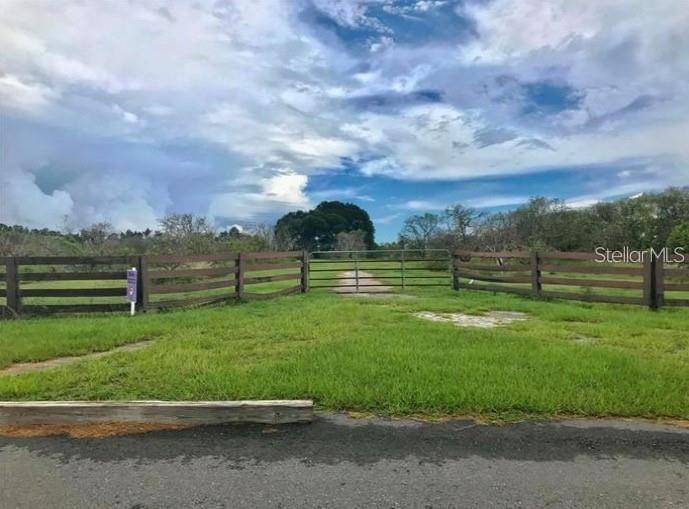 17902 SEIDNER RD, Winter Garden, FL 34787