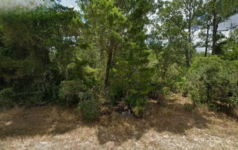 867 & 869 LETITIA DR, Sebring, FL 33875