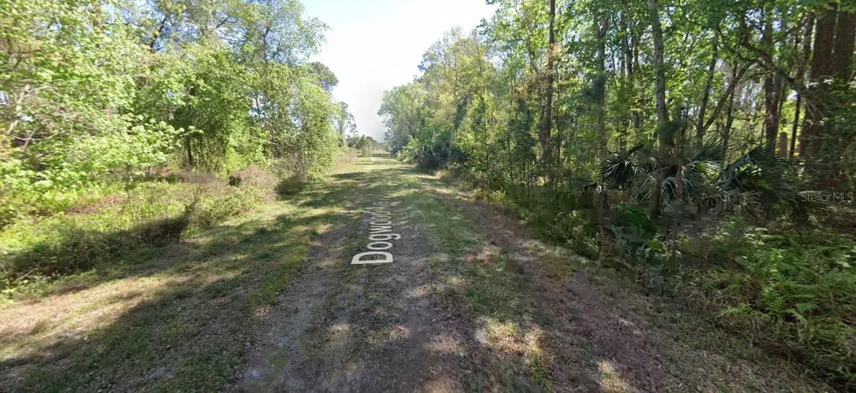 Georgetown, FL 32139,423 DOGWOOD AVE