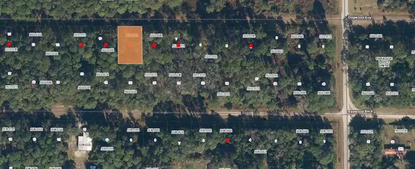 423 DOGWOOD AVE, Georgetown, FL 32139