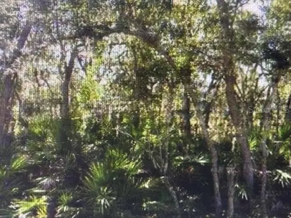 Haines City, FL 33844,OLD POLK CITY RD