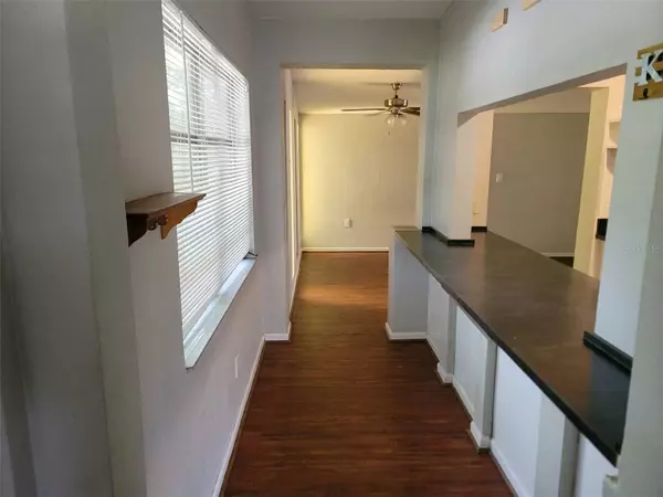 Seminole, FL 33777,8035 ROBIN RD
