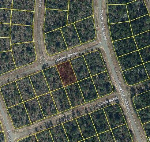 Chipley, FL 32428,DRUMLIN ST
