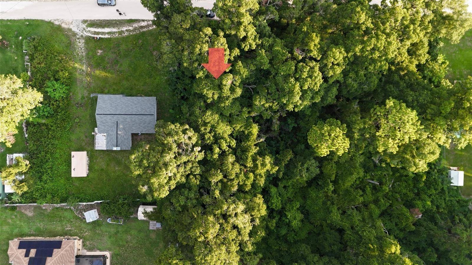 Belleview, FL 34420,SE 131 PL