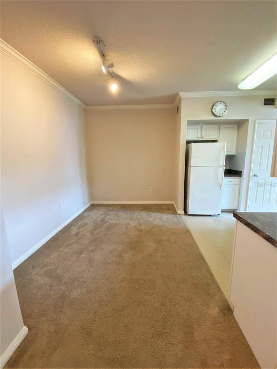 Orlando, FL 32801,911 N ORANGE AVE #233