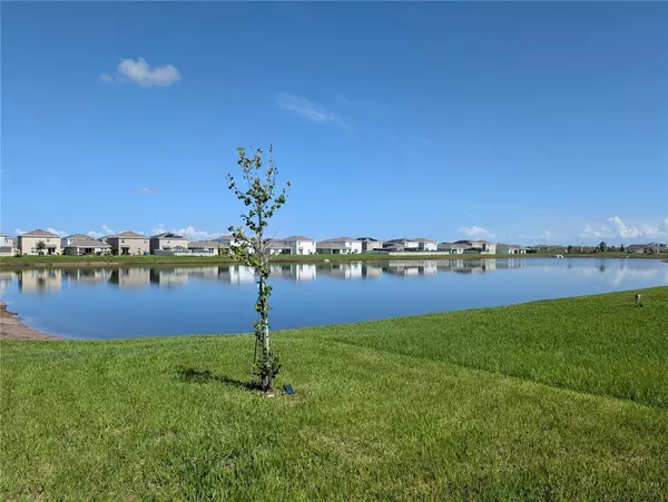 Wimauma, FL 33598,16887 DELIA ST