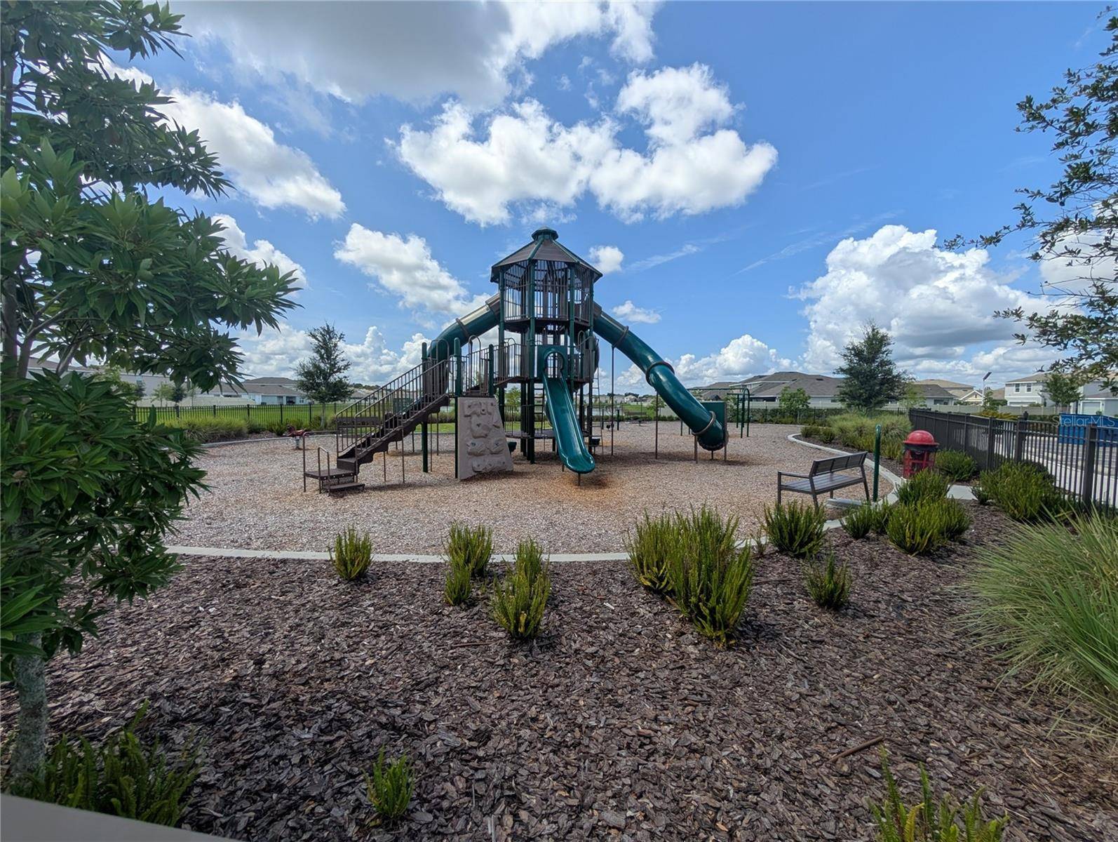 Wimauma, FL 33598,16887 DELIA ST