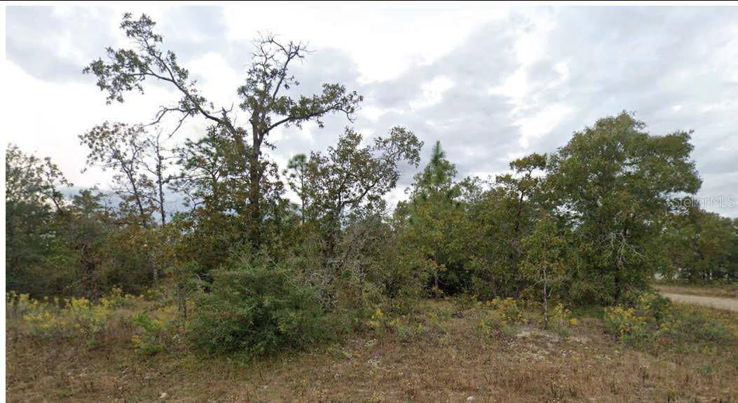 ESMONT AVE, Chipley, FL 32428