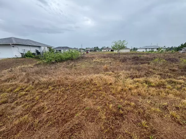 Lehigh Acres, FL 33974,1142 ECRUE ST E