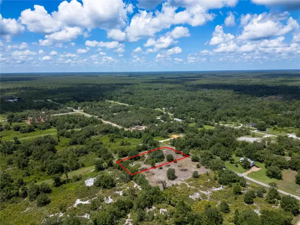 Avon Park, FL 33825,1865 S SAYERS RD