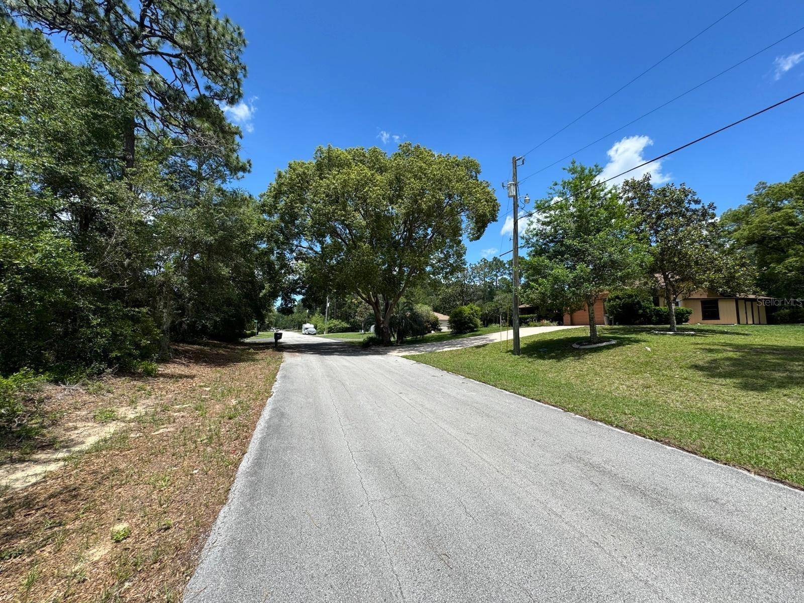 Citrus Springs, FL 34433,10798 N DRAGONIS DR