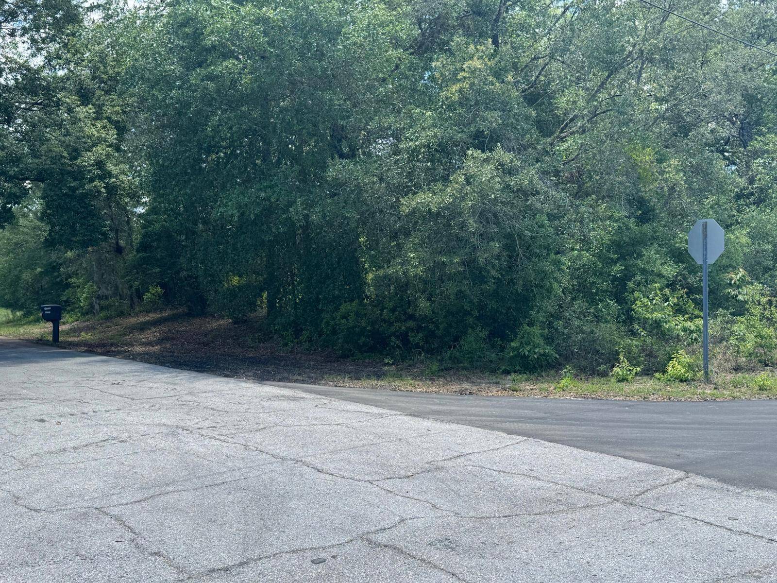 Citrus Springs, FL 34433,10798 N DRAGONIS DR