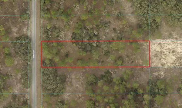 Dunnellon, FL 34431,SW 206TH AVE