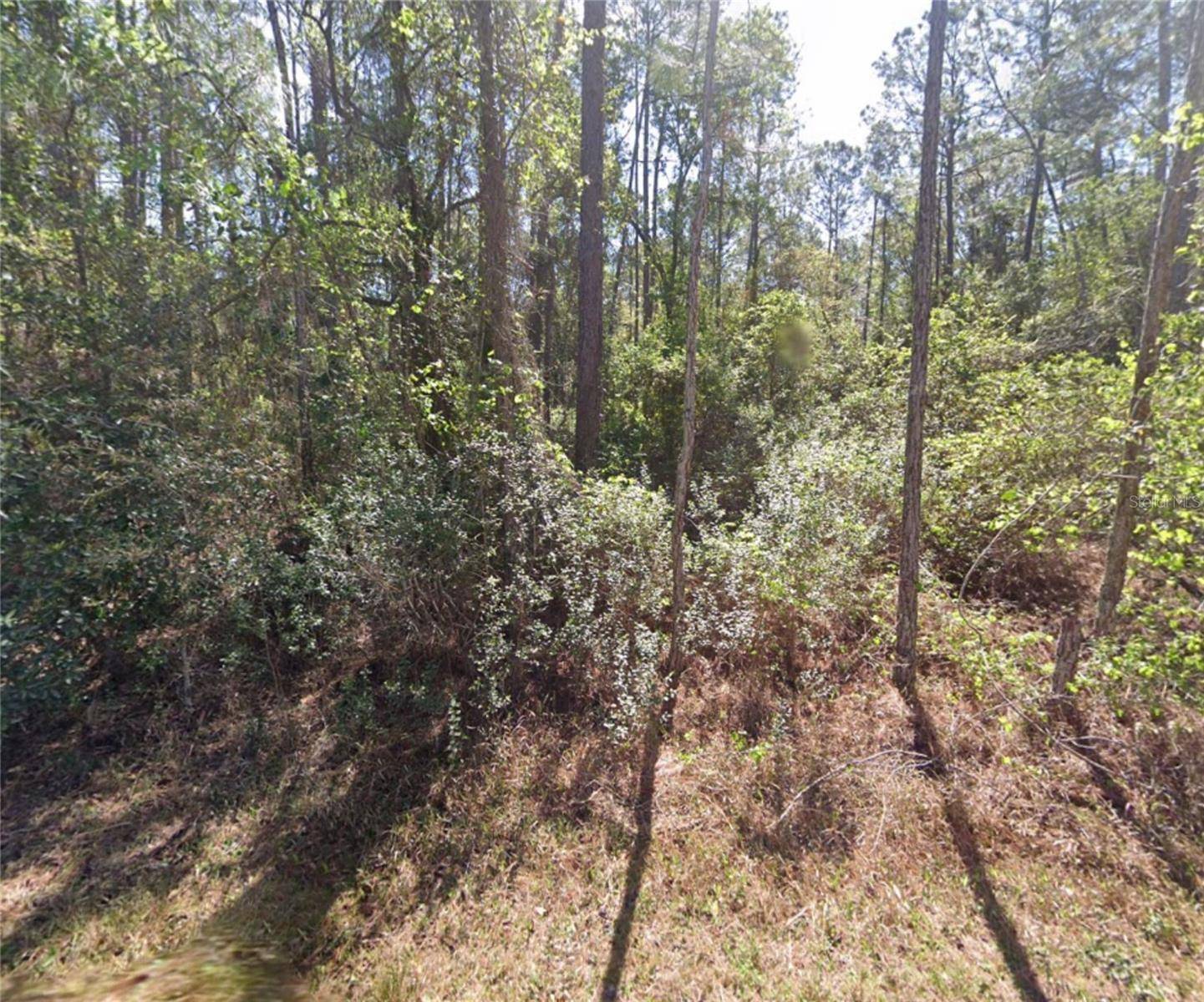 217 SE 2ND ST, Georgetown, FL 32139