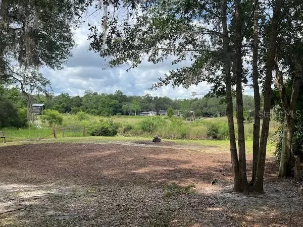 Salt Springs, FL 32134,241st AVENUE, LOT 31