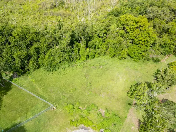 Grand Island, FL 32735,NEST CT
