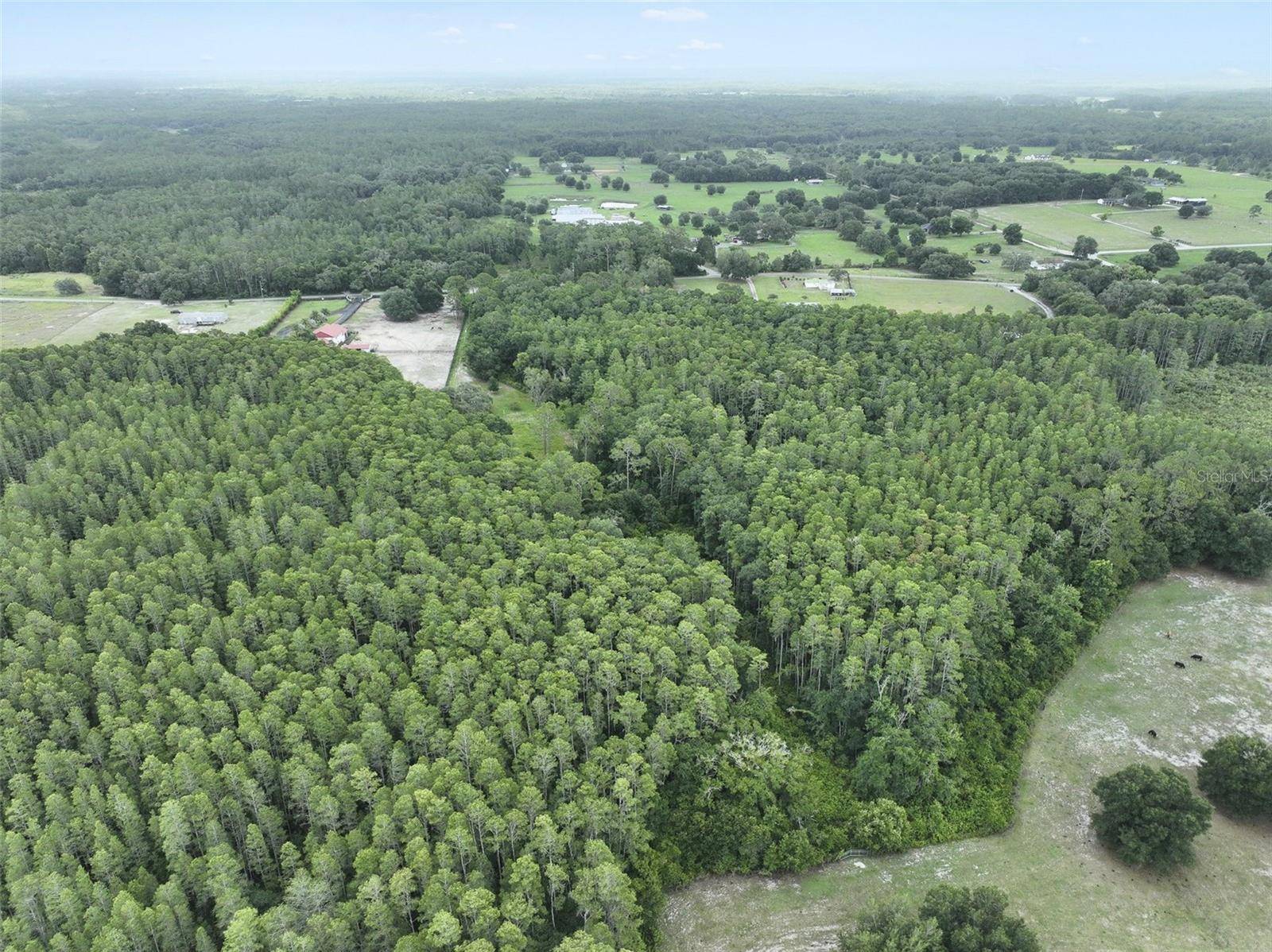 8449 BAY LAKE RD, Groveland, FL 34736