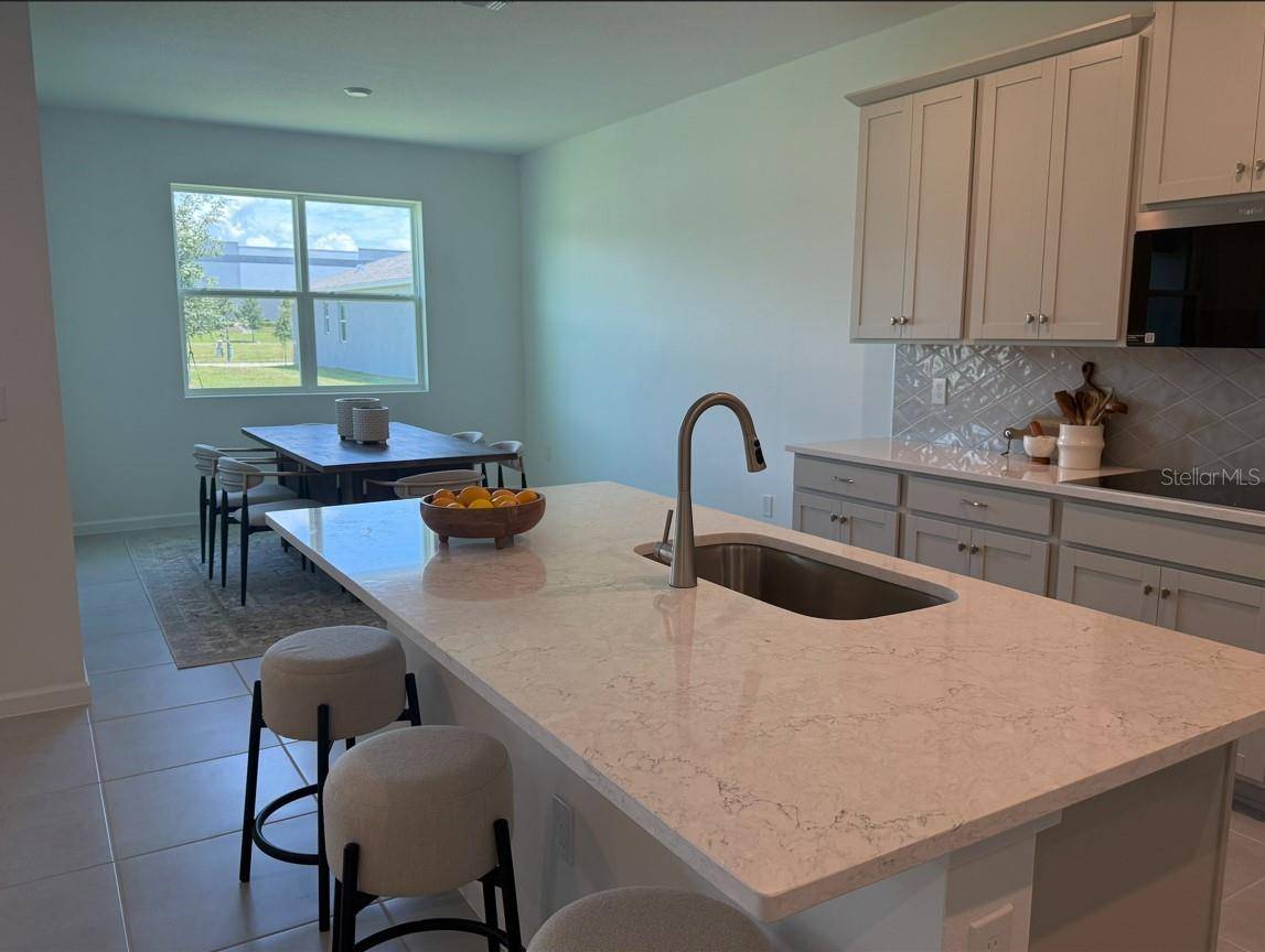 Apopka, FL 32703,2627 GINSENG IVY ST