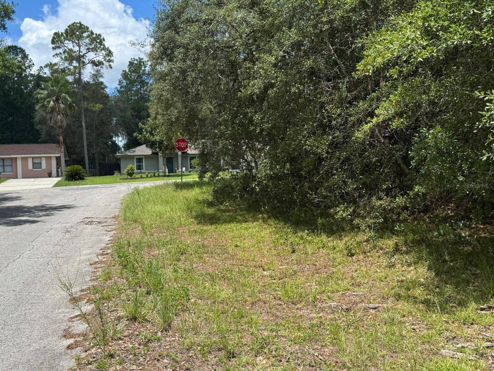 Dunnellon, FL 34434,1985 W ROLLING PL