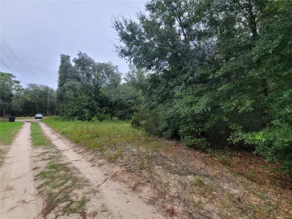 Bronson, FL 32621,0 NE 120TH ST