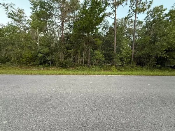 Florahome, FL 32140,905 E HILLSBOROUGH