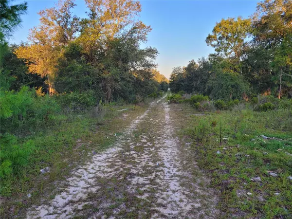 Williston, FL 32696,0 NE 61ST LN