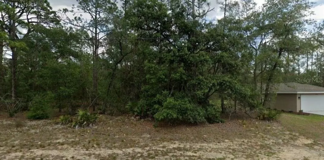 6299 N ALLSTON TER N, Dunnellon, FL 34433