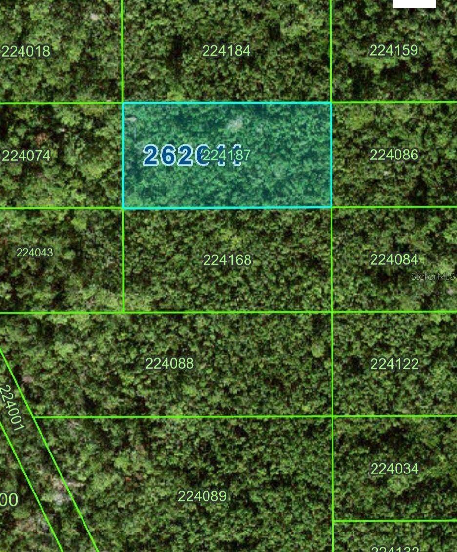 0 NO NAME RD #343, Polk City, FL 33868