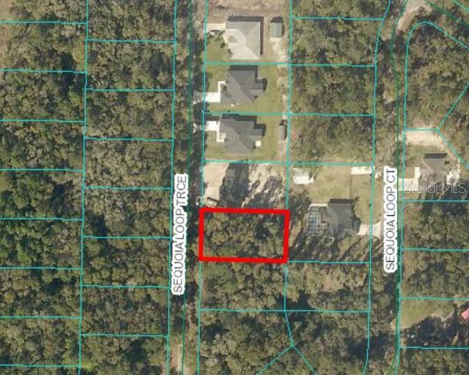 17 SEQUOIA TRCE, Ocklawaha, FL 32179