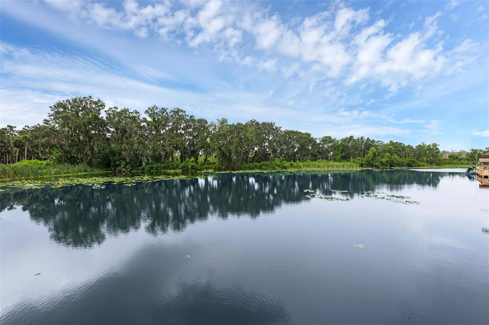 Fruitland Park, FL 34731,E HARBOR DR