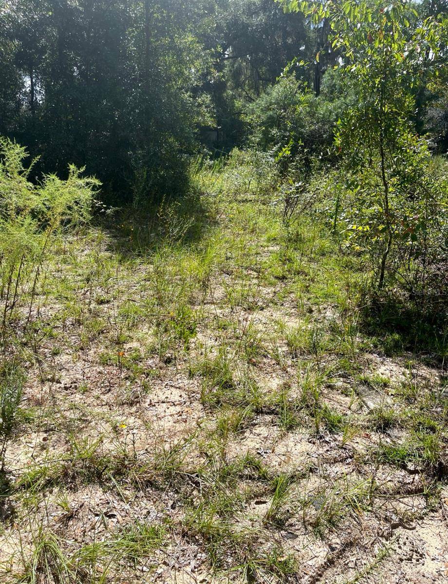 Silver Springs, FL 34488,4215 NE 172ND AVE