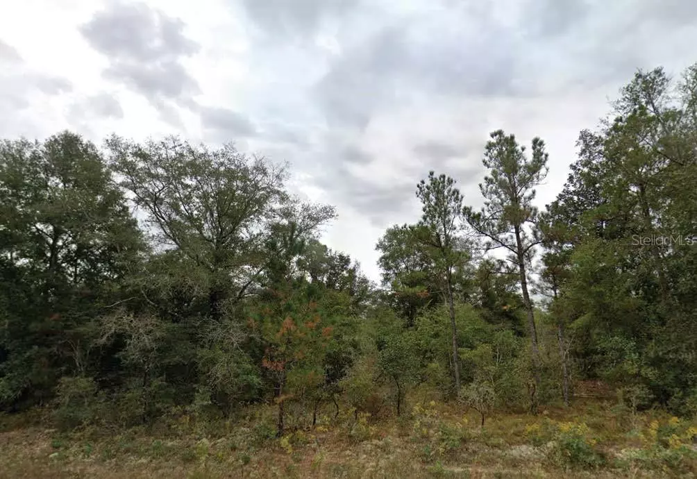 Chipley, FL 32428,MATHESON ST