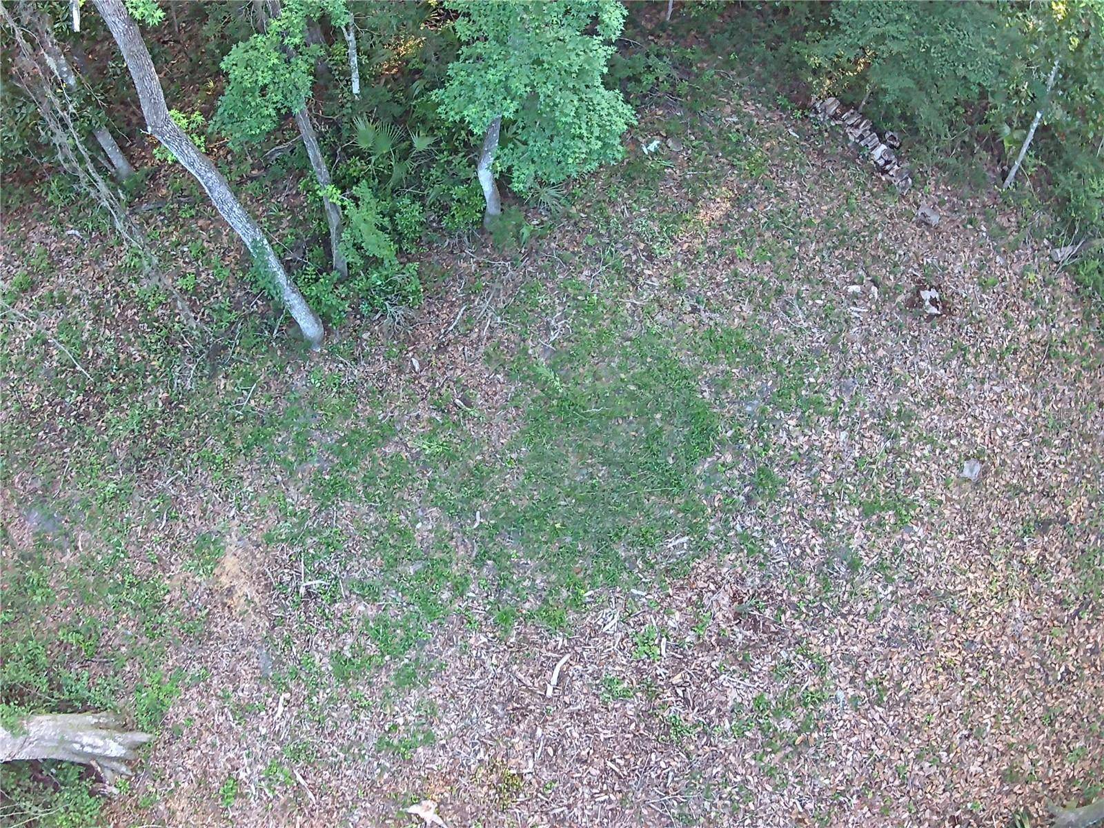 Chiefland, FL 32626,25TH AVE SW