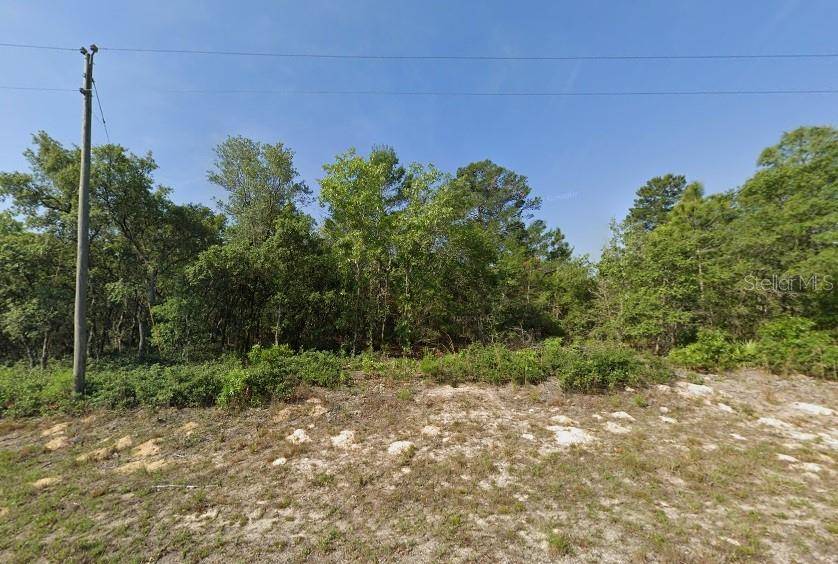 Dunnellon, FL 34433,7619 N NORMANDY PL