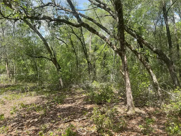 2205 ADAMS ST,  Inverness,  FL 34453