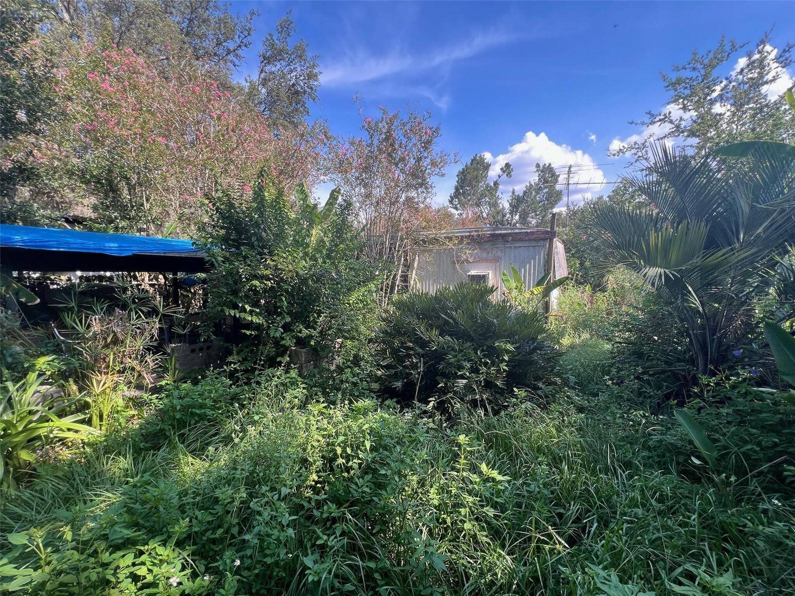 Zephyrhills, FL 33542,38323 PALM GROVE DR
