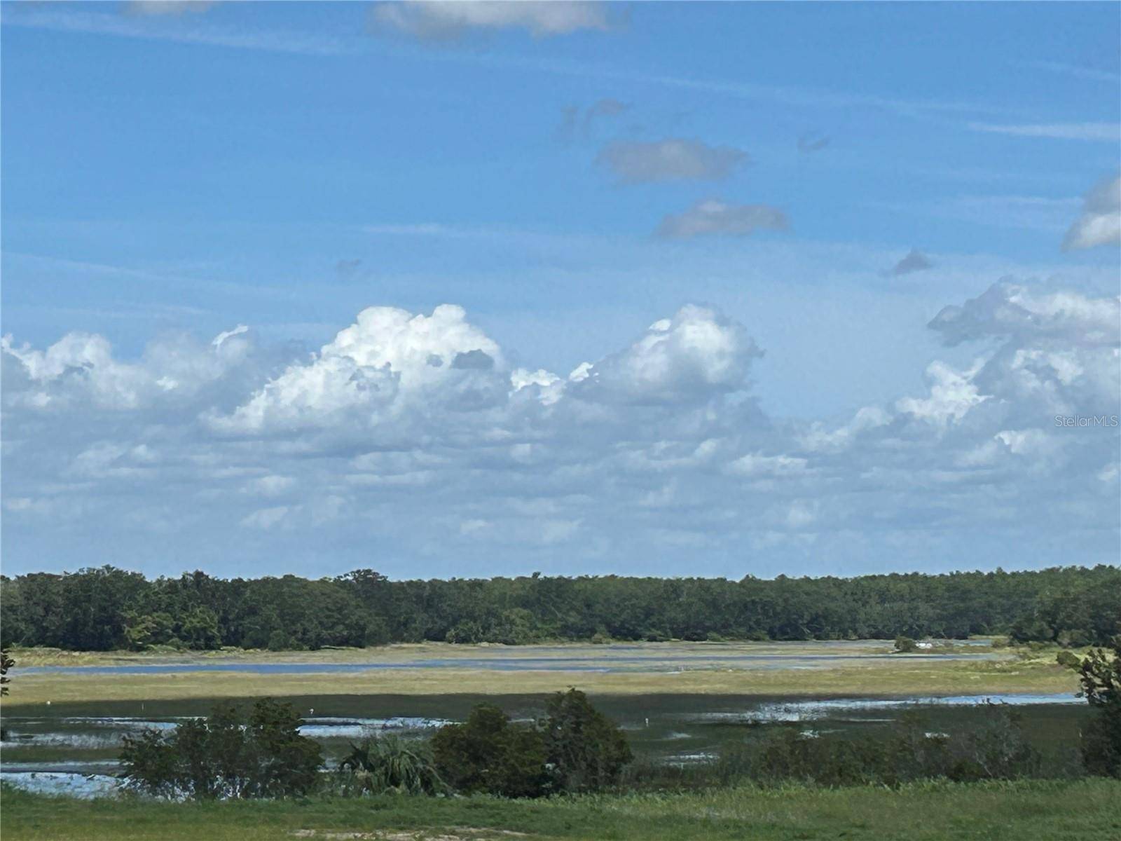 Howey In The Hills, FL 34737,24513 HODGES RESERVE AVE