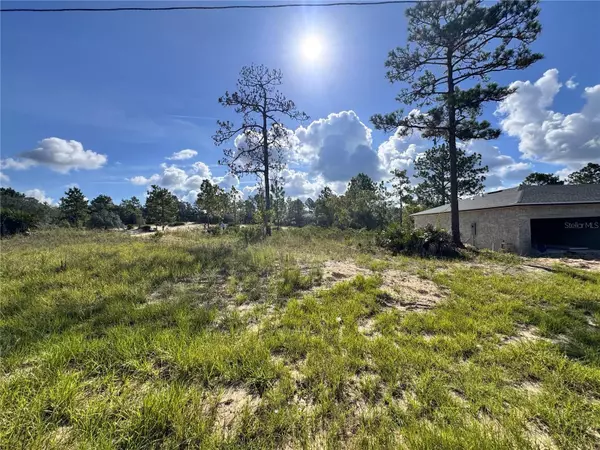 Dunnellon, FL 34433,6597 N GRAYTON TER